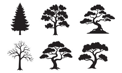 Silhouettes of evergreen trees in a forest setting