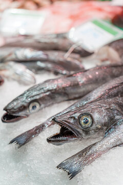Fresh fish on ice at a bustling seafood market