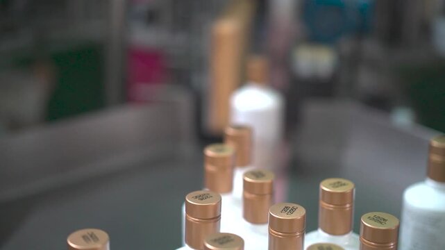 L&iacute;nea de producci&oacute;n de botellas de aceite en movimiento preparadas para ser empaquetadas 