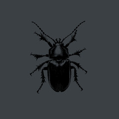 Pixelated insect with digital glitch effect on green, gray or transparent background