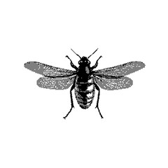 Pixelated insect with digital glitch effect on green, gray or transparent background