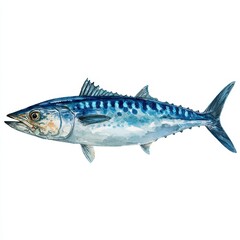Wahoo: Realistic Illustration of a Spanish Mackerel on White with Dark Blue and Vibrant Watercolour Accents