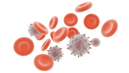 Red and white blood cells circulating transparent background