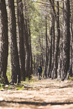 Female hiker exploring nature trail in Castilla La Mancha