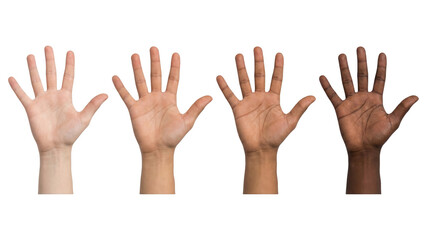 Obraz premium Diverse open palms. Four multiethnic hands palms facing up against white backdrop.