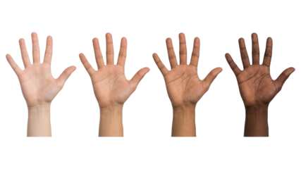 Diverse open palms. Four multiethnic hands palms facing up against white backdrop.