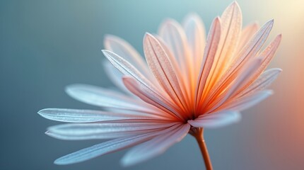 HD Wallpaper & Background