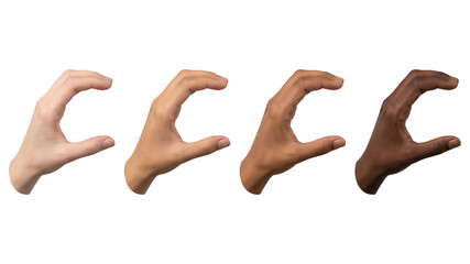 Diverse Hands Holding Gesture: Imaginary Object