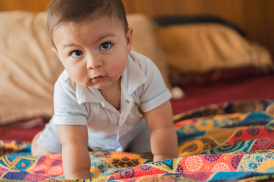 Adorable latin baby crawling on colorful blanket