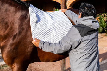 Preparing a horse with a white quilted saddle pad