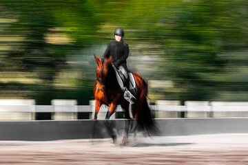 Equestrian in motion showcasing speed and skill