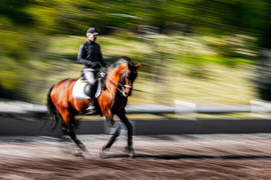 Equestrian in motion with blurred background