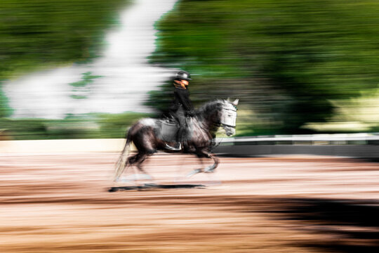 Blurred motion of horseback rider at full speed