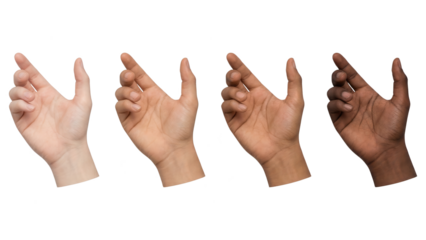 Holding Pose: Four Diverse Hands, Isolated on White