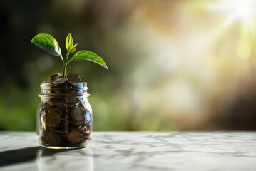 still life with green apple. Plant Growing In Savings Coins - Investment And Interest Concept  