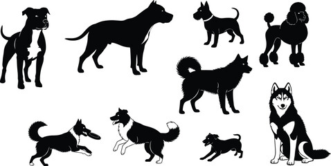 Diverse dog breed black silhouettes collection, various poses like sitting, standing, and running, domestic animal pet vector illustration set, husky, poodle, and terrier graphic.