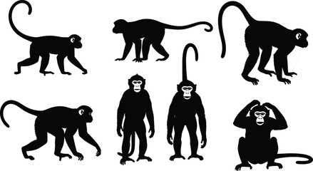 Diverse Monkey and Ape Silhouettes Vector Collection, Primate Animals in Different Poses including Sitting and Walking, Wildlife Zoo Graphic Design for Nature and Conservation Projects.