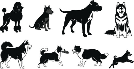 Diverse Dog Breeds Silhouette Collection Vector Illustration, Set of Canine Companions Including Poodle, Husky, and Border Collie, Pets and Domestic Animals Graphic Design for Veterinary and Grooming.