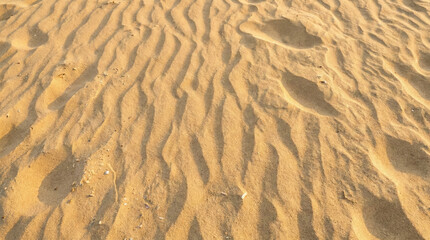 Fototapeta premium Golden Beach Sand Texture with Ripples