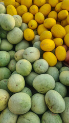 A variety of melons in different colors and sizes are displayed together. The scene includes green, yellow, and orange melons, showcasing their natural textures.
