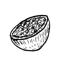 Passion fruit piece outline isolated. Vector food illustration of tropical fruit. Single fresh or dried fruit in vintage sketch style. Line art.