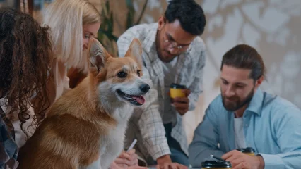 Fotobehang Ridders Funny dog corgis pet animal in office on business informal conference coworkers meeting talking laughing smiling analyze reviewing documents charts results startup growth diversity team women men  © Yuliia