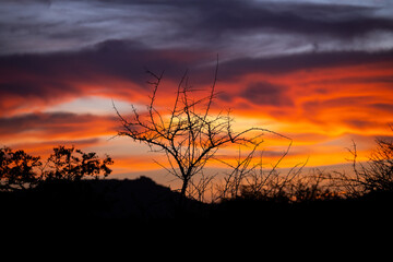 Fototapeta premium Atardecer en Angola