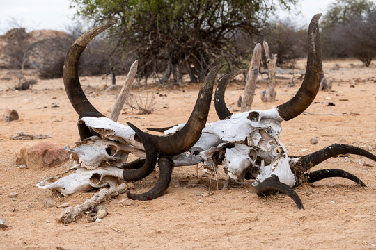 Tumba de la tribu Mucubal de Angola