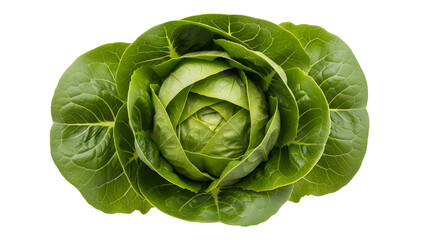 Fototapeta premium Fresh crisp lettuce head isolated on transparent background