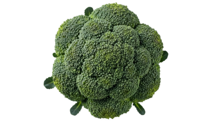 Broccoli crown isolated on transparent background