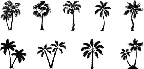 Obraz premium Palm tree silhouette collection featuring tropical coconut palms for beach landscapes, island scenery, summer travel themes and nature design projects
