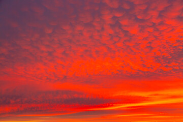 Vivid saturated beautiful sunset sky in red, orange and pink colors. Sunset background