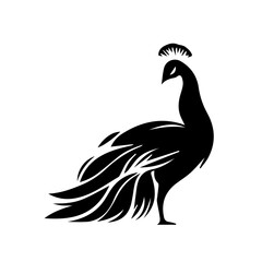 Obraz premium Peacock tattoo design