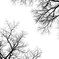 tree silhouette vector