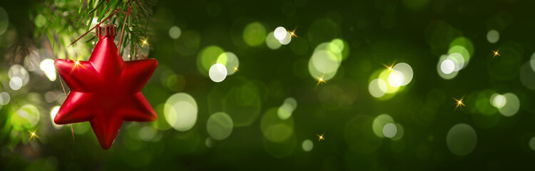 Christmas red star on green fir tree branch