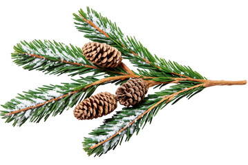Obraz premium Bright multicolored Christmas lights woven through snowy evergreen garland with pinecones. PNG