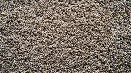 Close-up of a brown flecked carpet texture. Detailed macro view of flooring material and fabric pattern. Abstract background for interior design