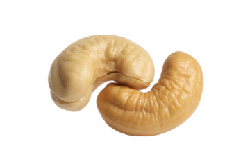 Cashew nuts isolated on a transparent background food snack 1