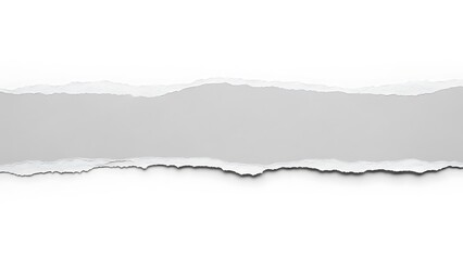 Torn Paper Strip on White Background
