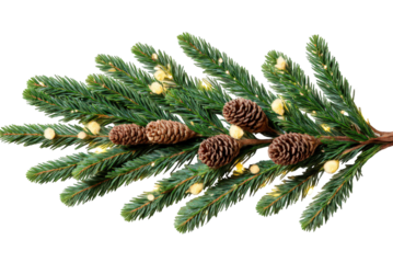 Traditional Christmas greenery border with illuminated bulbs and snowy branches. png