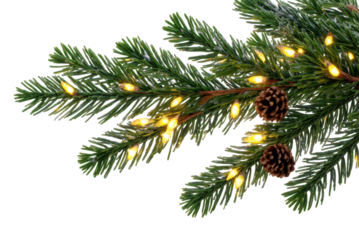 Bright multicolored Christmas lights woven through snowy evergreen garland with pinecones. PNG