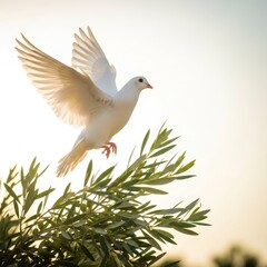Obraz premium White dove flying with an olive branch. Peace, freedom, love, and hope concept. White bird taking flight from an olea tree for spiritual design element.