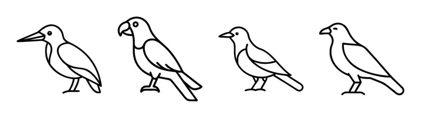 Simple line art illustrations showing four different types of birds in a row