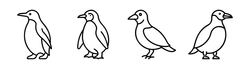 Simple line art illustrations showing different types of birds including penguins © VECTOR STORE
