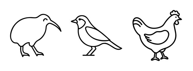 A minimalist set of three bird outline icons including kiwi, sparrow, and chicken