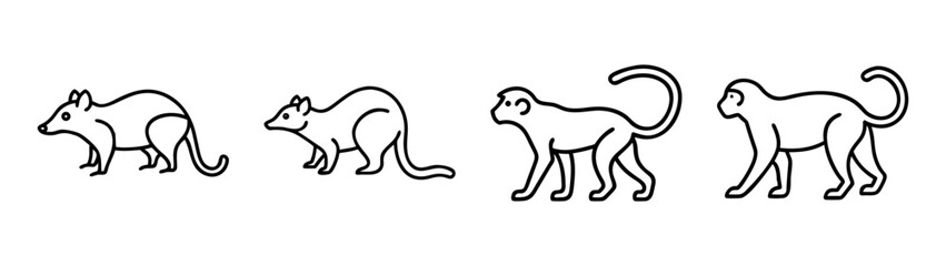 Black and white line art vector illustration featuring opossum and monkey silhouettes