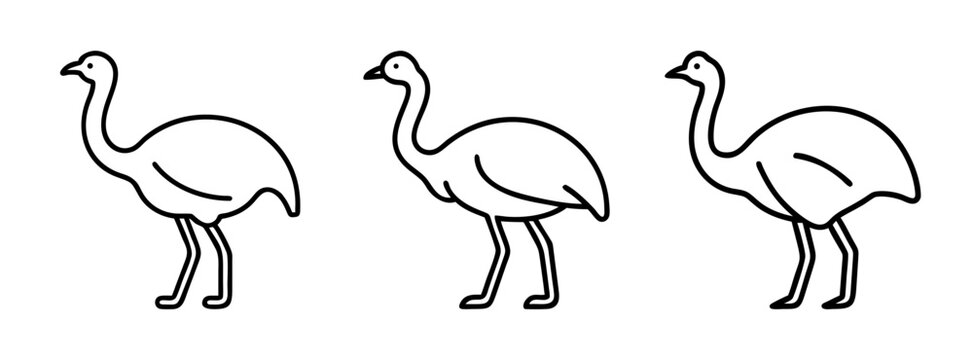 Simple black and white line drawing of three large flightless birds resembling emus standing side by side