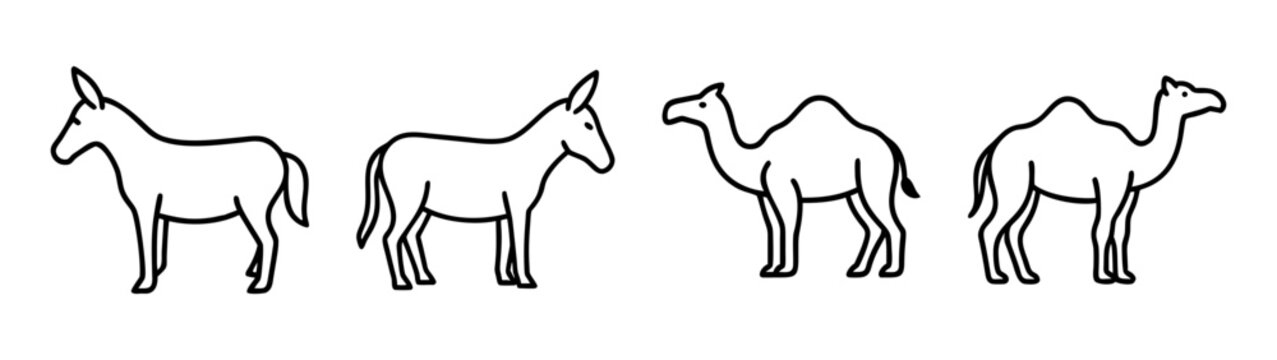 A collection of simple line art illustrations featuring two donkeys and two dromedary camels