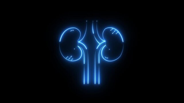 Glowing Line blue of Two Kidneys with Ureters icon.