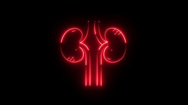 Glowing Line red of Two Kidneys with Ureters icon.